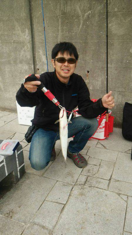 秋アオリが釣りたい　～season2淡路遠征～