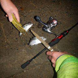 ライトソルト！