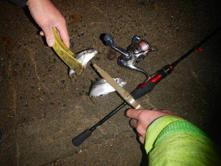 ライトソルト！