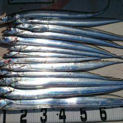 タチウオジギング