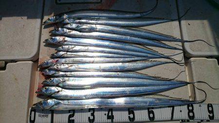 タチウオジギング