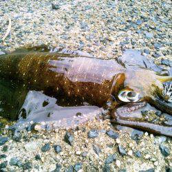 寒波がくる前に。