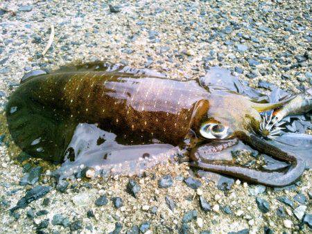 寒波がくる前に。
