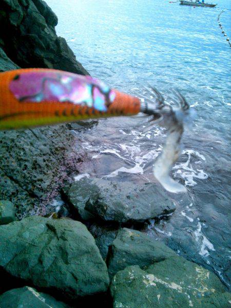 まだあきらめてません？