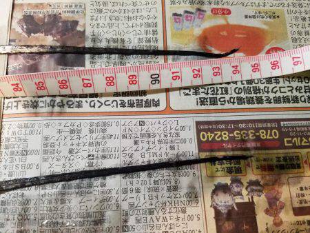 リベンジ成功♪(笑)