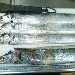 短時間ワインド