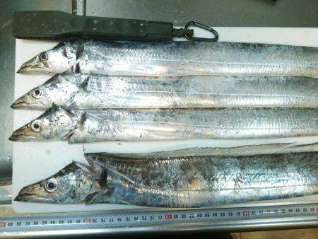 短時間ワインド