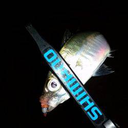 悶絶アジング♪