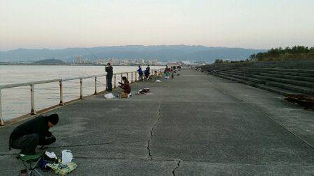 朝マズメ、パワーシャッド一閃。8本ゲットしました