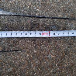 あと３㎝…(　ＴДＴ)