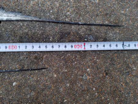 あと３㎝…(　ＴДＴ)