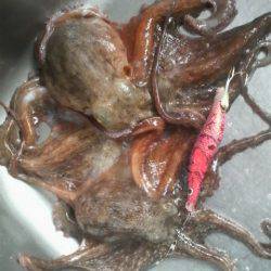 今日はダメかと思ったが・・・◎