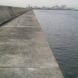 小さい数釣りより大きい1匹がいい!