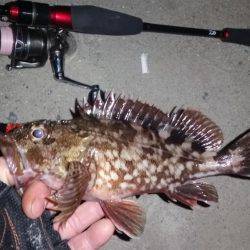 砂地のポイントでアジング!!