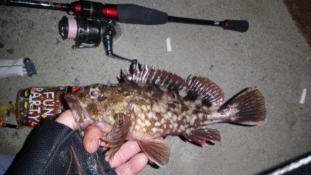 砂地のポイントでアジング!!