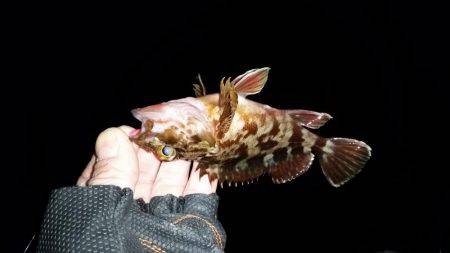 メバル狙いで南下!