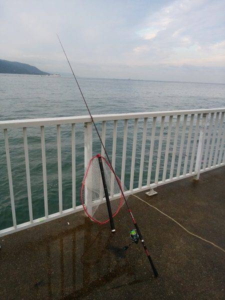 大蔵海岸でエギング