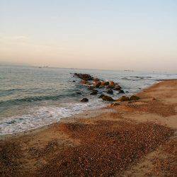 産卵前の荒食いシーバスはまだか・・・?