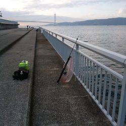 サイズが伸びない・・・