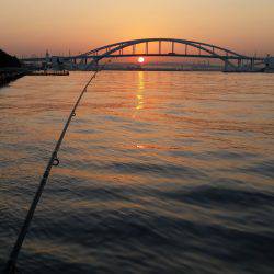 朝マヅメ舞洲調査