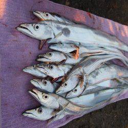 約３０分。ドラゴンは。