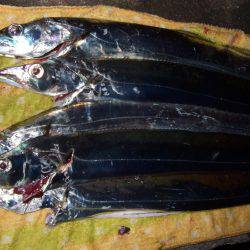 ドラゴン 再び。