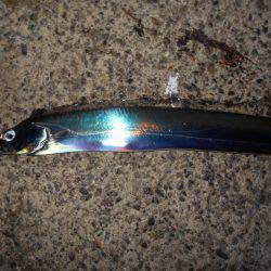 JHリグでタチウオ連発♪