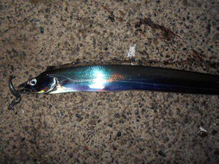 JHリグでタチウオ連発♪