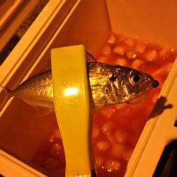 テンションかけずに