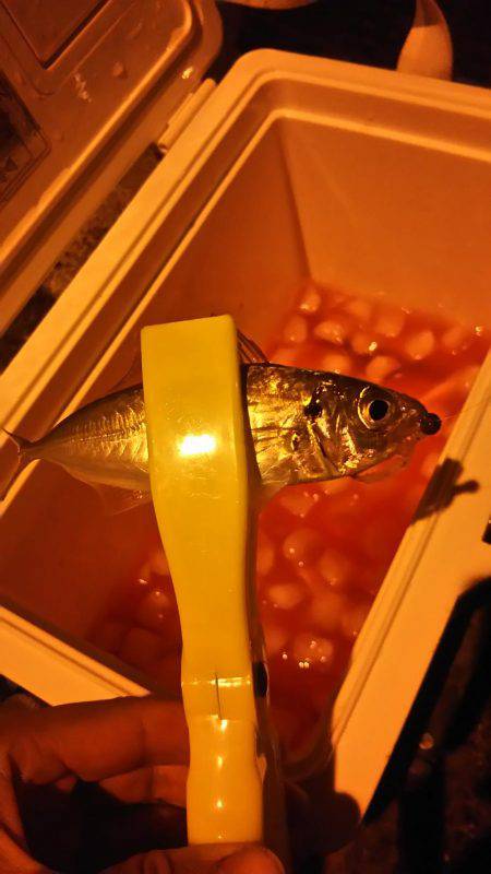 テンションかけずに