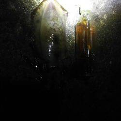 ヤエンで釣れました