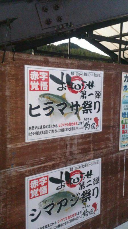 カタタの釣り堀でヒラマサイベント