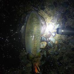 雨の中グッドサイズ