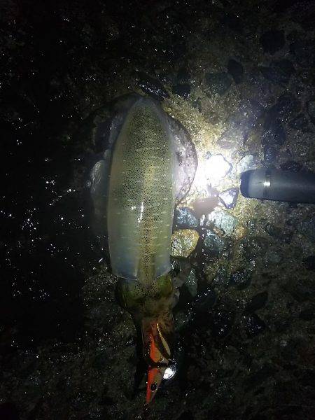 雨の中グッドサイズ