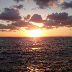 太刀魚サイズアップしてきました