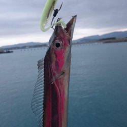 爆釣！小刀狩り