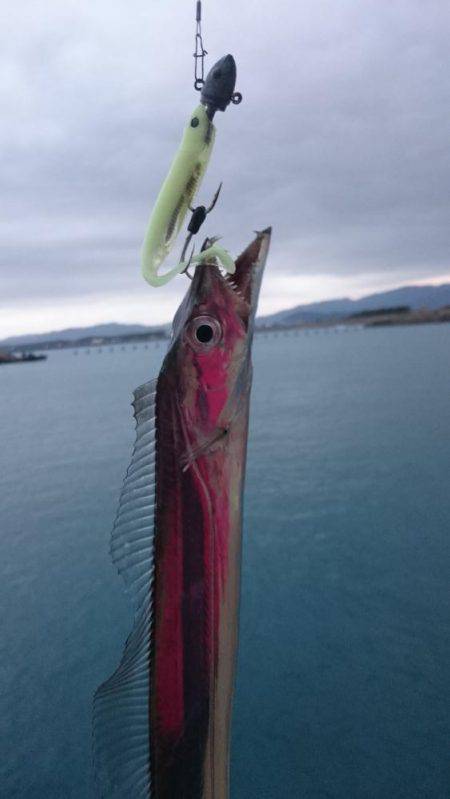 爆釣！小刀狩り