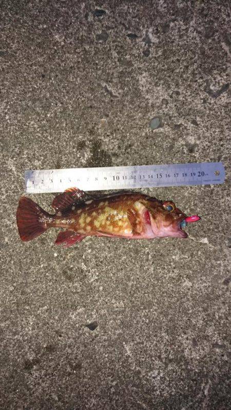 朝間づめ一時間勝負で。