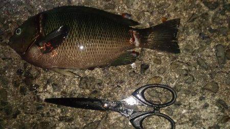 爆風でしかも寒い