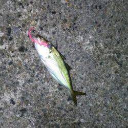 当たりは多いけどサイズが小さい