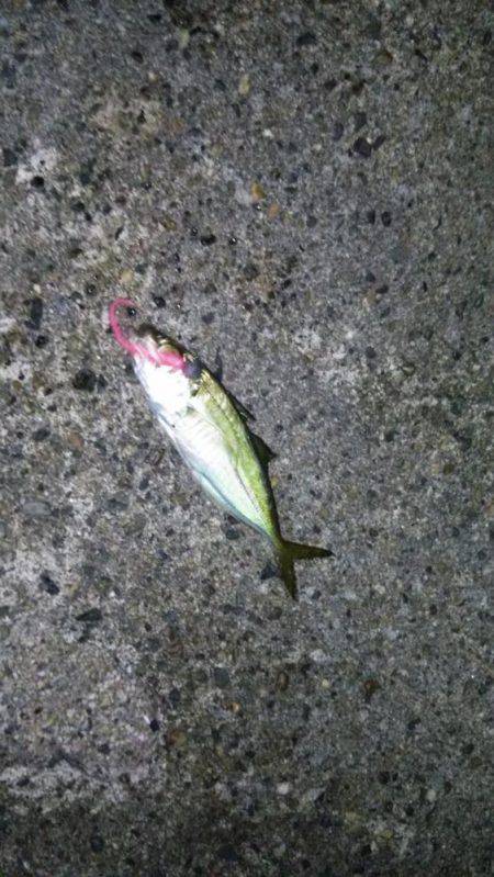 当たりは多いけどサイズが小さい