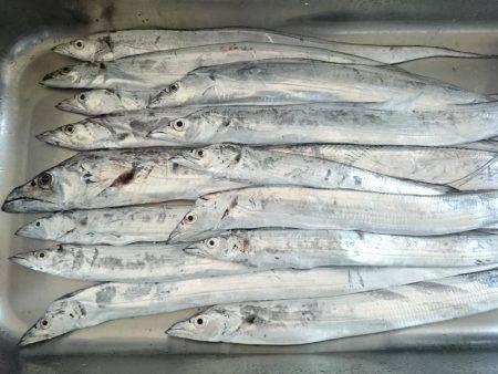 やっと数釣りできた ドラゴン 108cmも