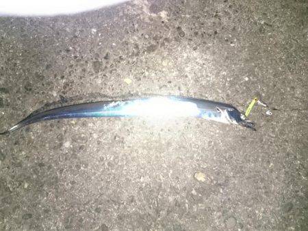 激混み赤灯波止避け　本荘ケーソンへ