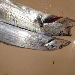 この時期の雨はツライ