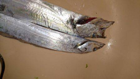 この時期の雨はツライ