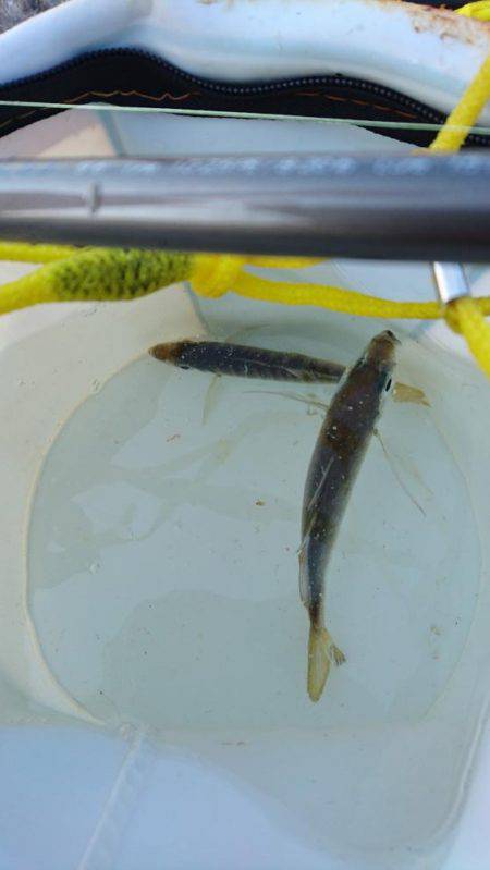 ランガン失敗…