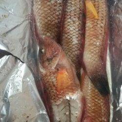 南淡路メガフロート大時化