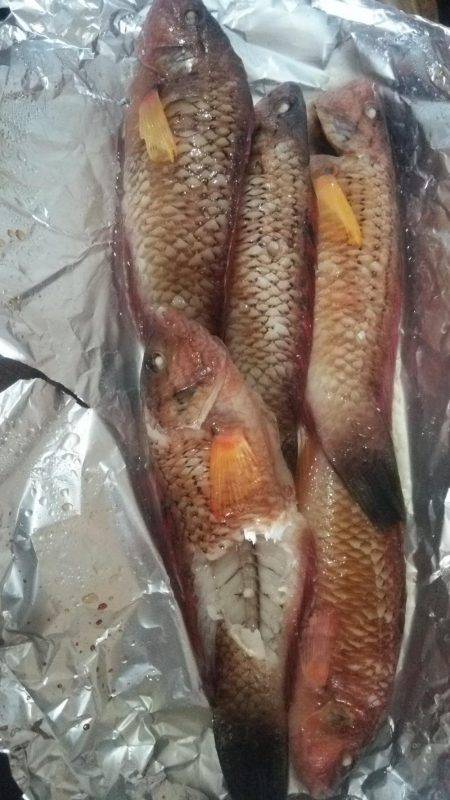 南淡路メガフロート大時化