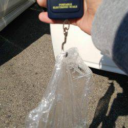 600はあると思いましたが