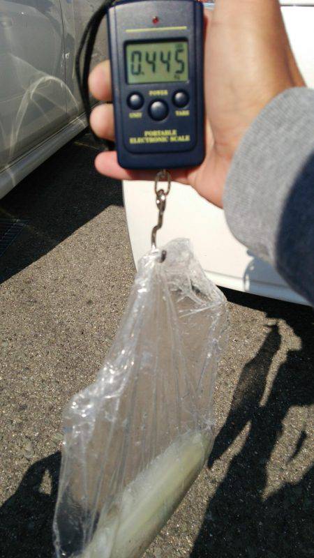 600はあると思いましたが